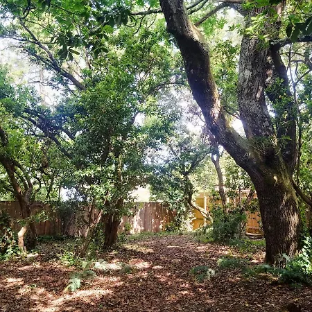 Architect's House, Hut Spirit, Sea Nearby Villa